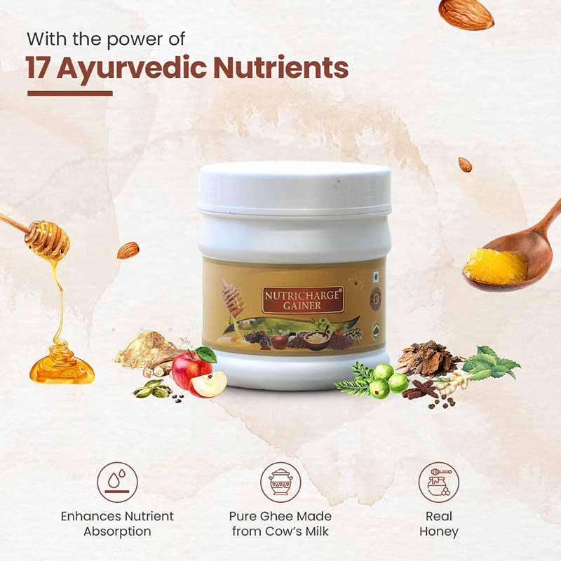 Nutricharge Gainer