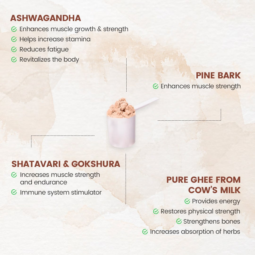 Nutricharge Gainer