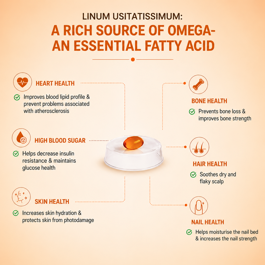 Nutricharge Veg Omega